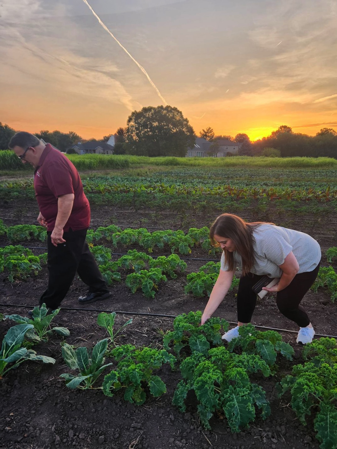 Our Food Main Page Local Flavors